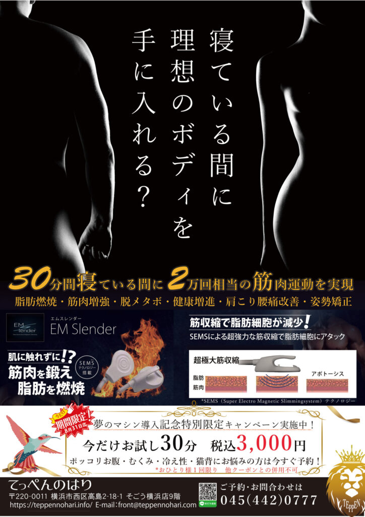 美容痩身マシン EM Slender（エムスレンダー）